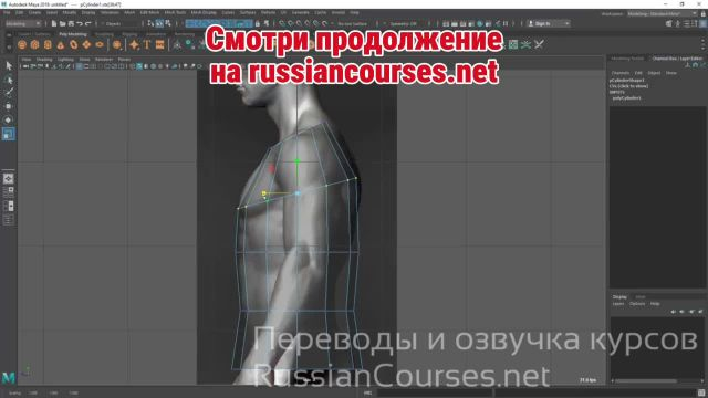 013-Modeling The Torso