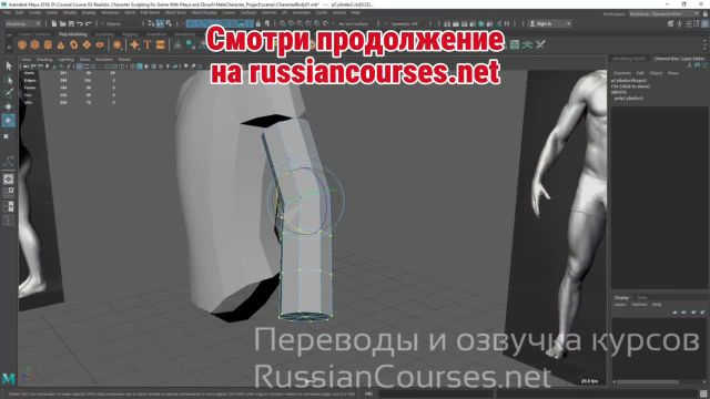 015-Modeling The Arm